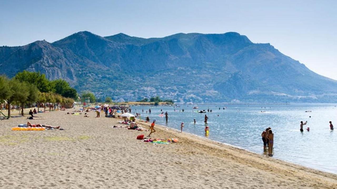Beach Apartments "Bili Cvitak" Duće المظهر الخارجي الصورة